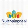 Logo NutriSanté Conseil